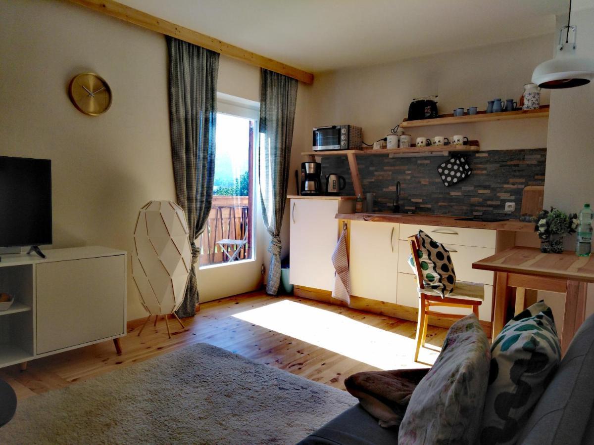 Haus Moni Διαμέρισμα Bad Goisern Εξωτερικό φωτογραφία