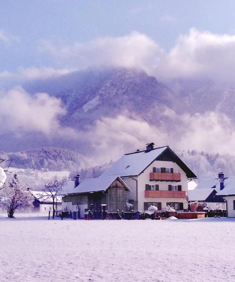 Haus Moni Διαμέρισμα Bad Goisern Εξωτερικό φωτογραφία