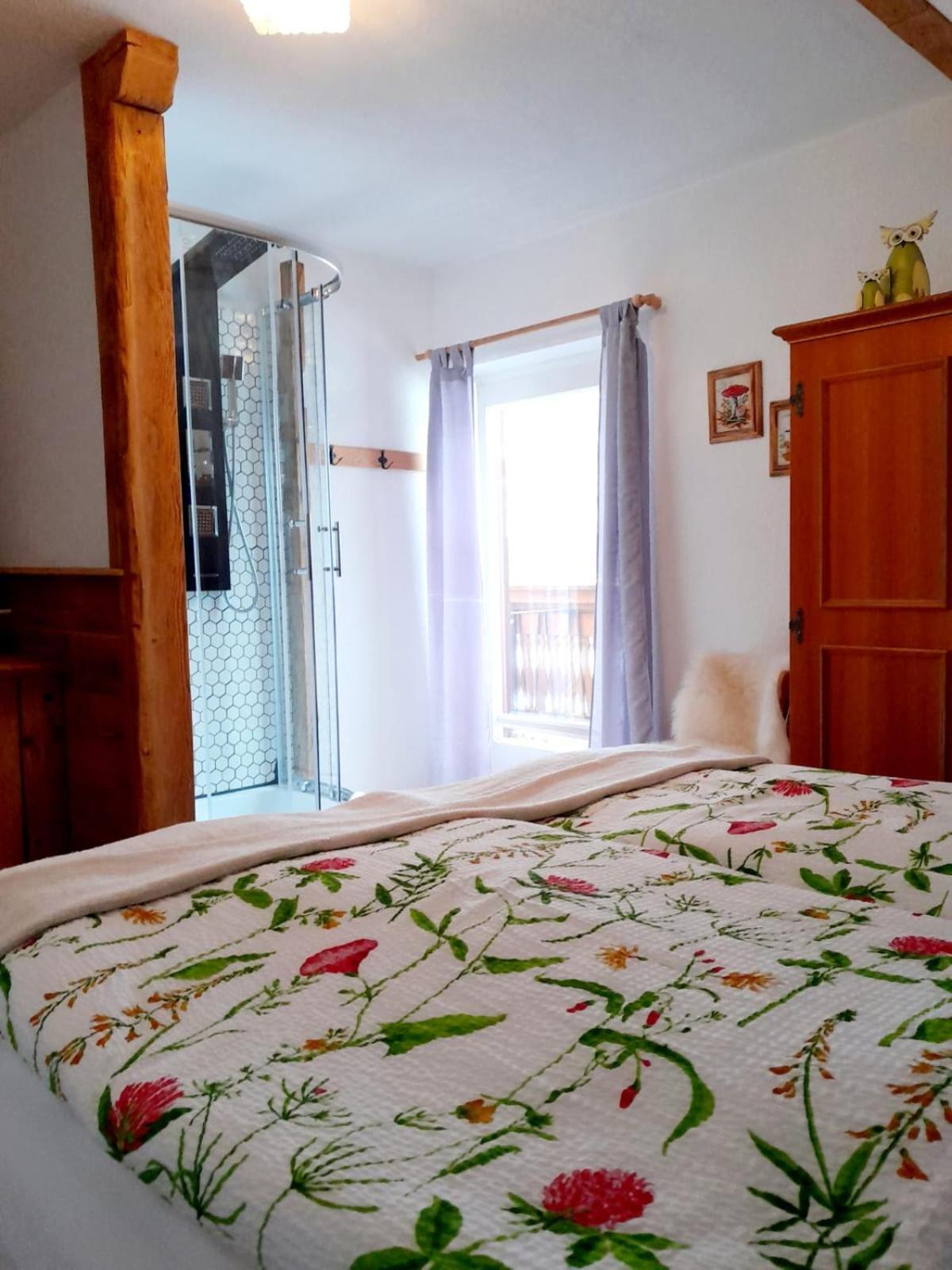 Haus Moni Διαμέρισμα Bad Goisern Εξωτερικό φωτογραφία