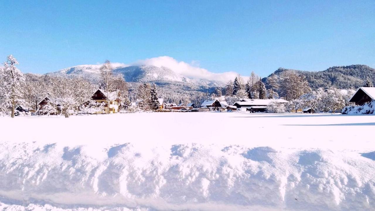 Haus Moni Διαμέρισμα Bad Goisern Εξωτερικό φωτογραφία