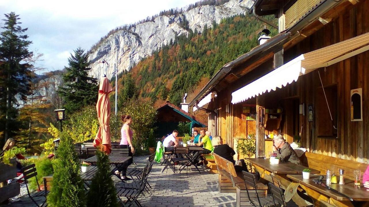 Haus Moni Διαμέρισμα Bad Goisern Εξωτερικό φωτογραφία