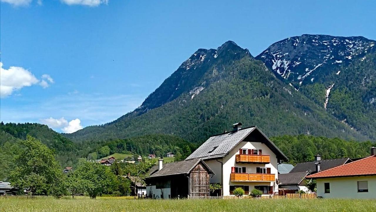 Haus Moni Διαμέρισμα Bad Goisern Εξωτερικό φωτογραφία